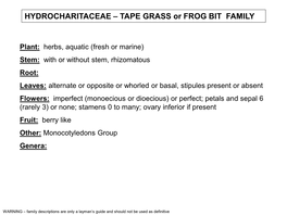 HYDROCHARITACEAE – TAPE GRASS Or FROG BIT FAMILY