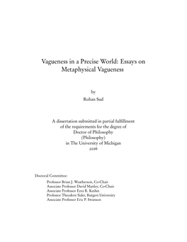 Vagueness in a Precise World: Essays on Metaphysical Vagueness