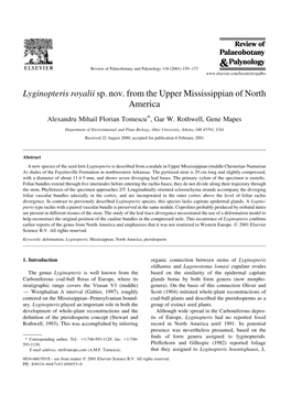 Lyginopteris Royalii Sp. Nov. from the Upper Mississippian of North America