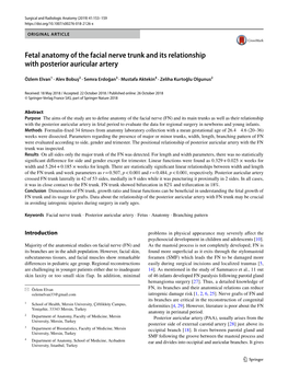 Fetal Anatomy of the Facial Nerve Trunk and Its Relationship with Posterior Auricular Artery