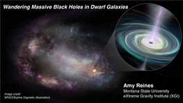 Amy Reines Wandering Massive Black Holes in Dwarf Galaxies