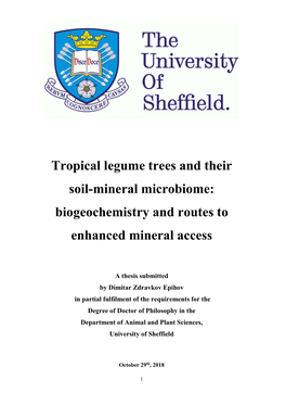 Tropical Legume Trees and Their Soil-Mineral Microbiome: Biogeochemistry and Routes to Enhanced Mineral Access
