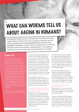 What Can Worms Tell Us About Ageing in Humans?