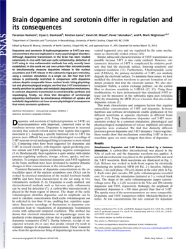 Brain Dopamine and Serotonin Differ in Regulation and Its Consequences