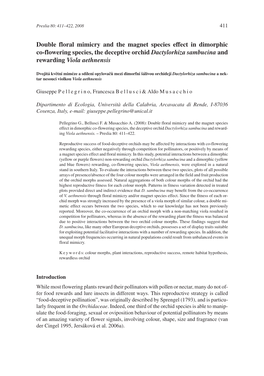 Double Floral Mimicry and the Magnet Species Effect in Dimorphic Co-Flowering Species, the Deceptive Orchid Dactylorhiza Sambucina and Rewarding Viola Aethnensis