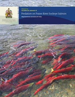 Predation on Fraser River Sockeye Salmon Villy Christensen and Andrew W