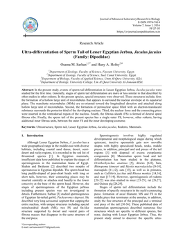 Ultra-Differentiation of Sperm Tail of Lesser Egyptian Jerboa, Jaculus Jaculus (Family: Dipodidae)