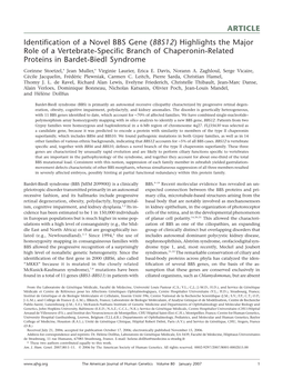 ARTICLE Identification of a Novel BBS Gene (BBS12)