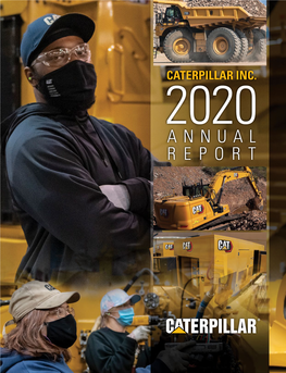 Download the 2020 Annual Report and 10-K