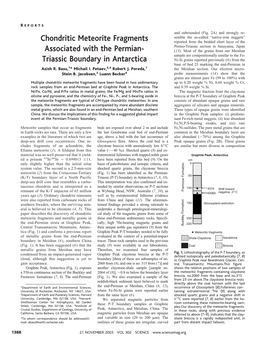 Chondritic Meteorite Fragments Associated with the Permian- Triassic Boundary in Antarctica