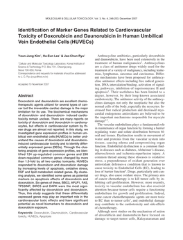 Identification of Marker Genes Related to Cardiovascular Toxicity of Doxorubicin and Daunorubicin in Human Umbilical Vein Endothelial Cells (Huvecs)