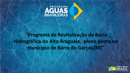 Programa De Revitalização Da Bacia Hidrográfica Do Alto Araguaia, Plano Piloto No Município De Barra Do Garças/MT Instituição Responsável