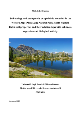 (Mont Avic Natural Park, North-Western Italy): Soil Properties and Their Relationships with Substrate, Vegetation and Biological Activity