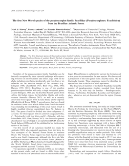 The First New World Species of the Pseudoscorpion Family Feaellidae