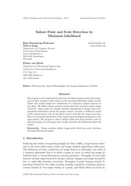 Salient Point and Scale Detection by Minimum Likelihood