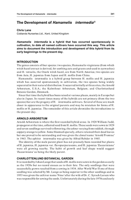 The Development of Hamamelis Intermedia©