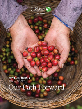 2019 LATIN AMERICA ANNUAL REPORT Our Path Forward PROTECT OCEAN, LAND and WATER