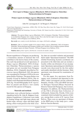 31–34 First Report of Balgus Rugosus (Blanchard, 1843) (Coleoptera: Elateridae: Thylacosterninae) in Paraguay Primer Reporte D