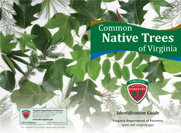 Common Native Trees of Virginia, Virginia Department of Forestry