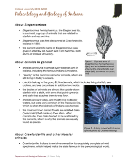 Elegantocrinus Hemisphaericus, the Elegant Sea Lily.Pdf