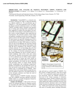 Observation and Analysis of Martian Meteorite Y000593: Evidence for Biosignatures L.M