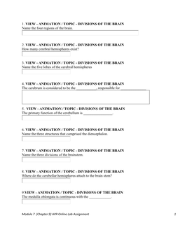 1. VIEW - ANIMATION / TOPIC - DIVISIONS of the BRAIN Name the Four Regions of the Brain