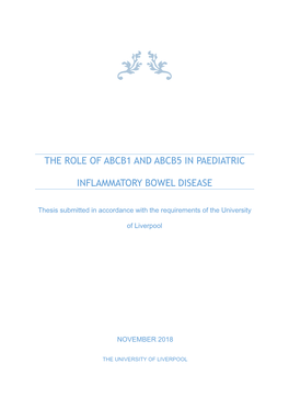 The Role of Abcb1 and Abcb5 in Paediatric Inflammatory