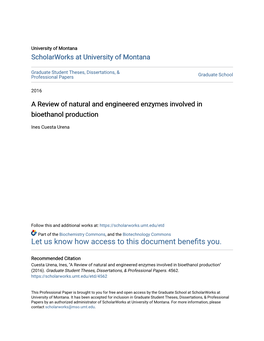 A Review of Natural and Engineered Enzymes Involved in Bioethanol Production