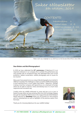 Saker Enewsletter 2019