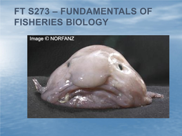 Fundamentals of Fisheries Biology