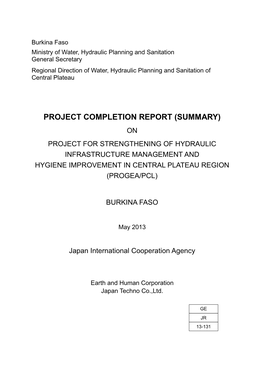 Project Completion Report (Summary)