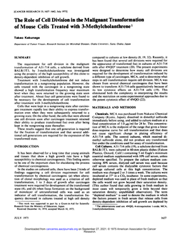 The Role of Cell Division in the Malignant Transformation of Mouse Cells Treated with 3-Methylcholanthrene1