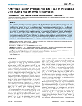 Antifreeze Protein Prolongs the Life-Time of Insulinoma Cells During Hypothermic Preservation