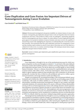 Gene Duplication and Gene Fusion Are Important Drivers of Tumourigenesis During Cancer Evolution