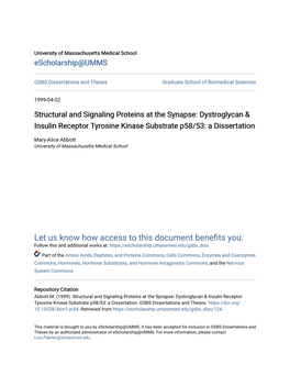 Dystroglycan & Insulin Receptor Tyrosine