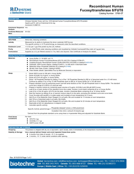 Recombinant Human Fucosyltransferase 8/FUT8