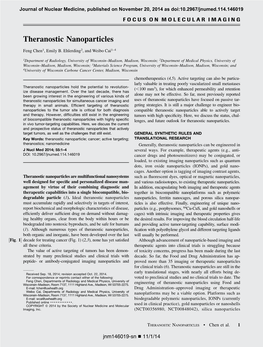 Theranostic Nanoparticles