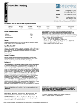 13378 PSMG1/PAC1 Antibody