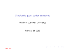 Stochastic Quantization Equations