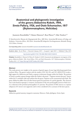 Anatomical and Phylogenetic Investigation of the Genera Alabastrina Kobelt, 1904, Siretia Pallary, 1926, and Otala Schumacher, 1817 (Stylommatophora, Helicidae)