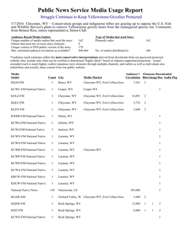 Public News Service Media Usage Report