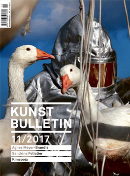 11/2017 *Aargauer Kunsthaus 26.8