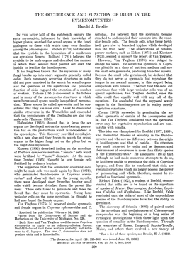 The Occurrence and Function of Oidia in the Hymenomycetes 1