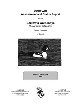 Barrow's Goldeneyes Feed Mostly on Aquatic Insects and Crustaceans in Inland Waters During