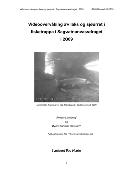 Videoovervåking Av Laks Og Sjøørret I Fisketrappa I Sagvatnanvassdraget I 2009
