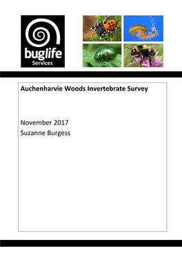 Invertebrate Survey Report
