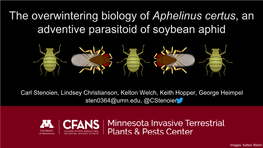 The Overwintering Biology of Aphelinus Certus, an Adventive