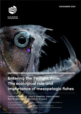 Entering the Twilight Zone: the Ecological Role and Importance of Mesopelagic Fishes