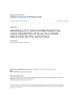 Mineralogy and Environmental Geochemistry of Slag in Lower Area One, Butte, Montana