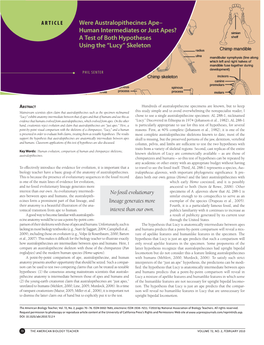 Human Intermediates Or Just Apes? a Test of Both Hypotheses Using the “Lucy” Skeleton